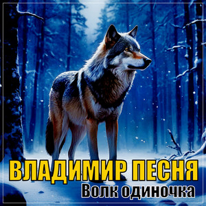 Владимир Песня — Волк одиночка