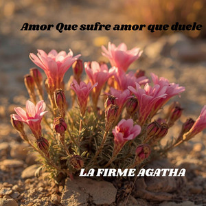 Amor Que sufre amor que duele by La firme Agatha