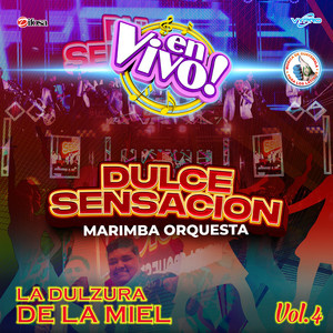 Marimba Orquesta Dulce Sensacion - No Te Pertenece (En Vivo)