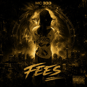 Fees by MC 333