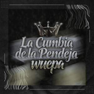 Zorra Dj & DJ Toñito Mix - La Cumbia de la P*****a wuepa
