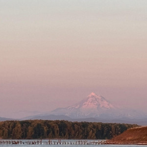 cold hands, dead eyes