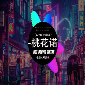 桃花诺 Dj ｜抖音歌 完整版｜2.26 by DJ Vibe-好听音乐