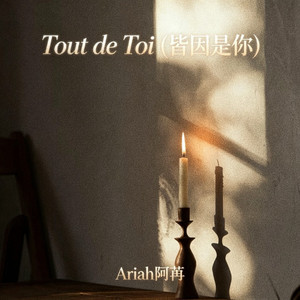 Tout de Toi (皆因是你) by Ariah阿苒