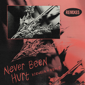 Never Been Hurt (Remixes) cover art