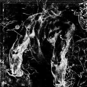 Skin Graft - Shallow Waves Remix by William Bleak, Shallow Waves