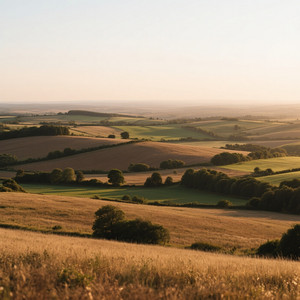 Julieth Fabiana Sanchez Viuche - sentimientos retrasados