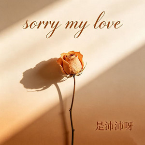 sorry my love by 是沛沛呀