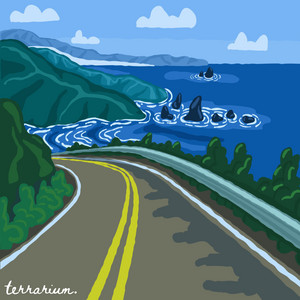 roaming by terrarium.