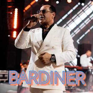 Bardiner