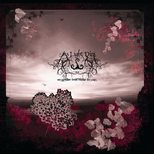 Ars Subtilior From Within the Cage cover