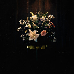 Distant Bodies by LASTELLE