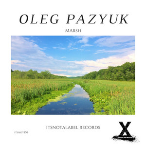 Cover art: Marsh