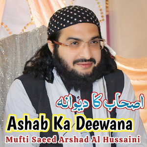 Mufti Saeed Arshad Al Hussaini & Muhammad TaQi Mazari - Ashab Ka Deewana