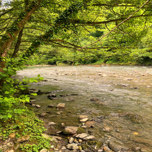 A Path Beside the Mountain Stream by Alderhush