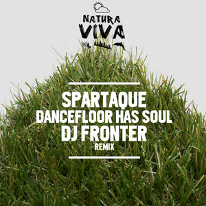 Dancefloor Has Soul cover art