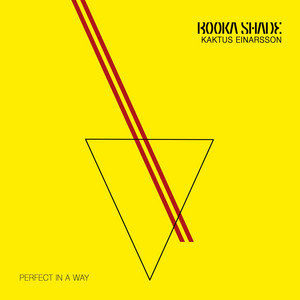 Perfect in a Way album art