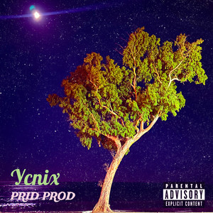 Prid Prod — Успіх