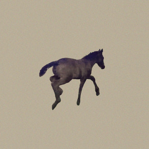 Runaway Horses by Ami Alex