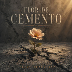Flor de Cemento by Yefry Bracketsp
