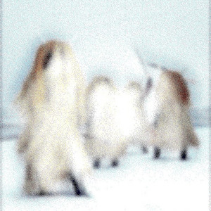 TUNDRA REBELS by SyKo
