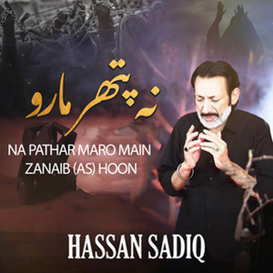 Hassan Sadiq - Na Pathar Maro Main Zanaib Hoon