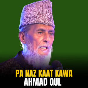 Ahmad Gul - Tappy Misray