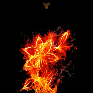 Portada de Heartbeats