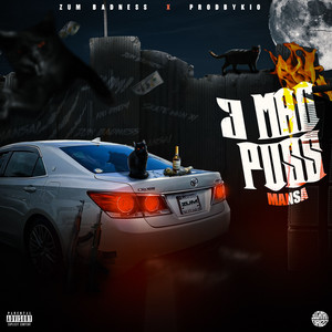 3 Mad Puss by mansa
