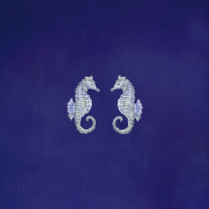 Seahorse by Lu Jr