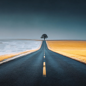 Rhythm of Rebirth by Alex Bon Space