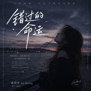错过的命运 Lost In Timing by 北司令