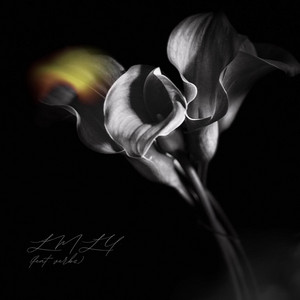L.M.L.Y. by TALEX, Verbz