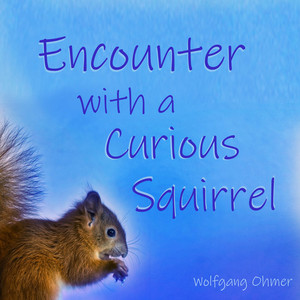Encounter with a Curious Squirrel by Wolfgang Ohmer