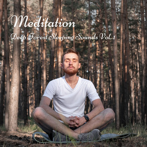 Meditation: Deep Forest Sleeping Sounds Vol. 1 album