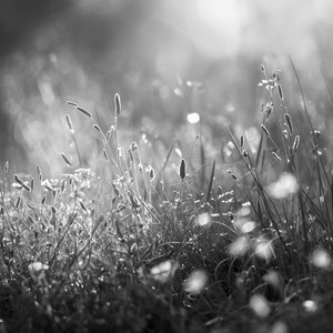Open Space by Carl Kaleo