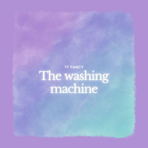 The washing machine by Ty fancy