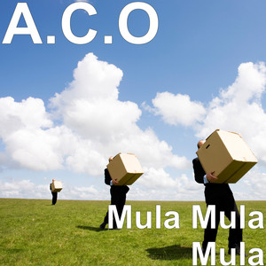 A.C.O