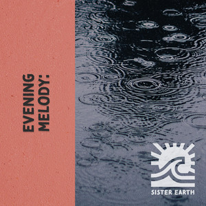 zZz Evening Melody: Raining Over the Marsh zZz album