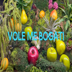 Teddy Bear OFCL - VOLE ME BOGATI