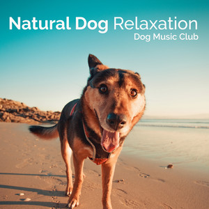 Natural Dog Relaxation album