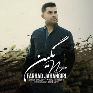 Farhad Jahangiri - Negin