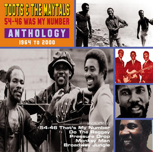 たっちー・ぶらっくもあ CD 　AOR TOOTSIE