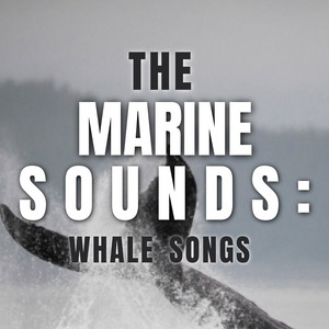 The Marine Sounds: Whale Songs album