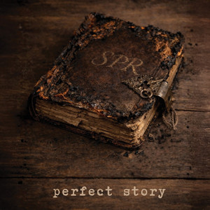 Perfect Story by Stephen Peter Rodgers