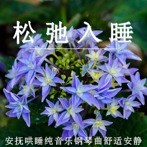 鬆弛入睡 安撫哄睡純音樂鋼琴曲舒適安靜