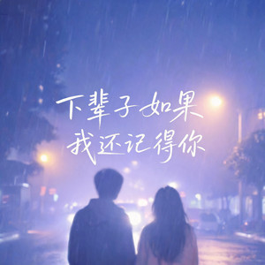 大头针 — 下辈子如果我还记得你 (2026)