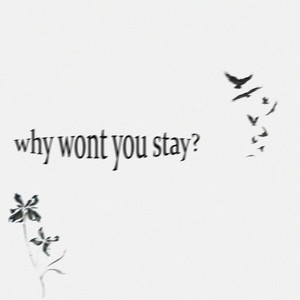 why wont you stay?