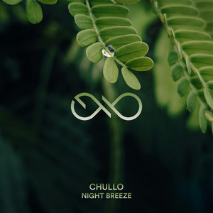 Night Breeze by Chullo