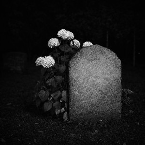 absence has a name - Instrumental Version by graur